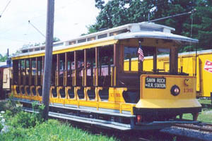 Yellow Trolley 1391