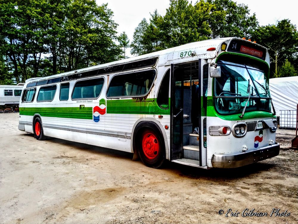 Green and white bus 870