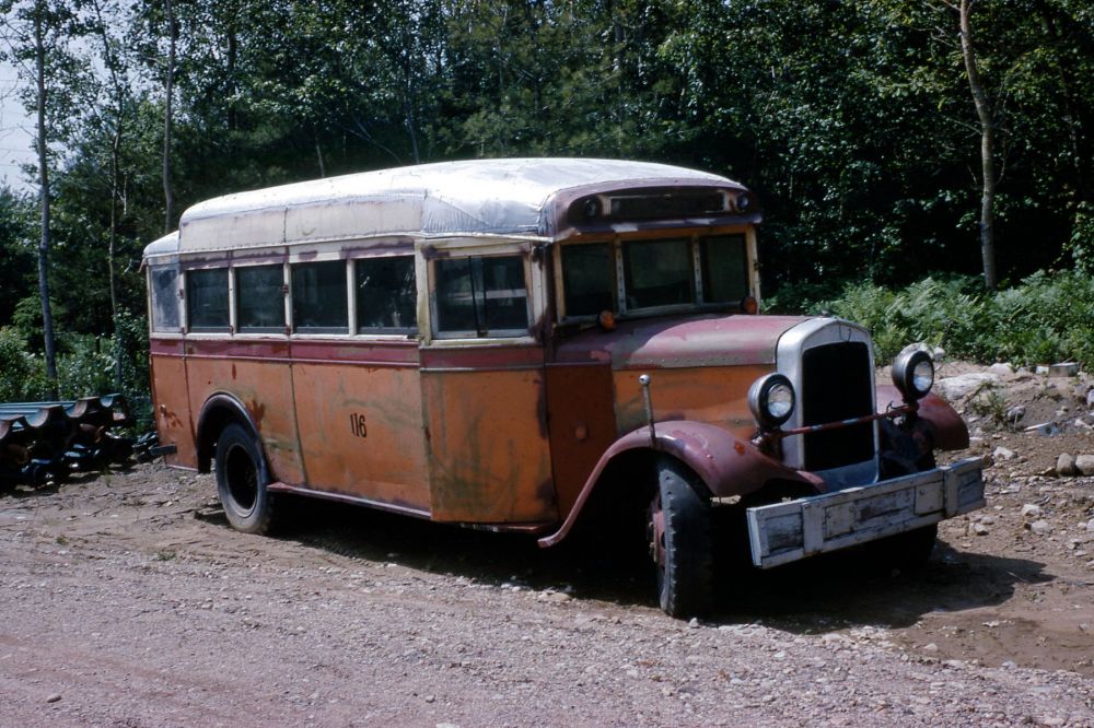 Bus 116