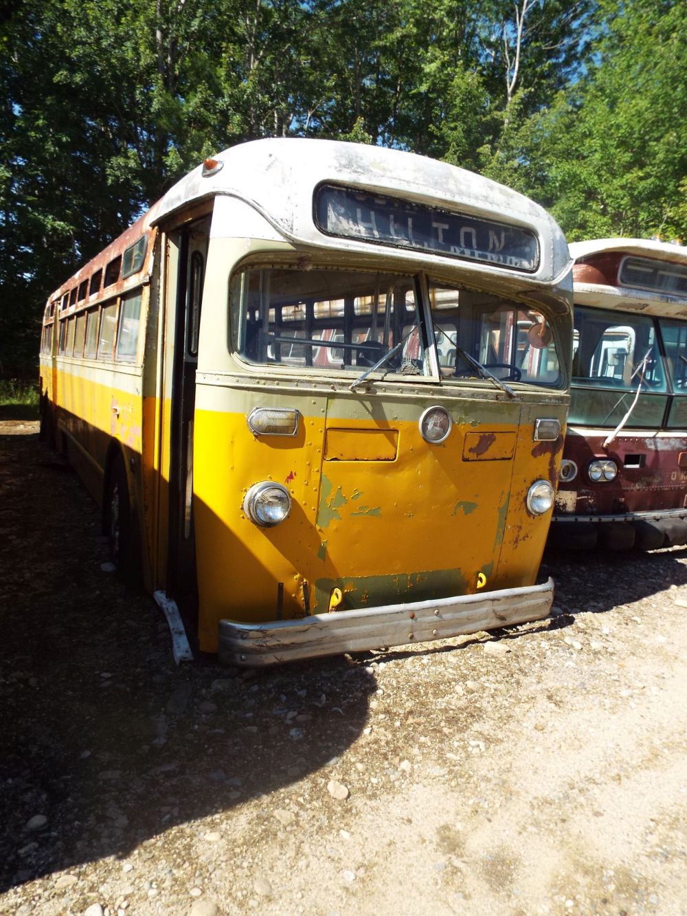 Grey & Yellow Bus 195