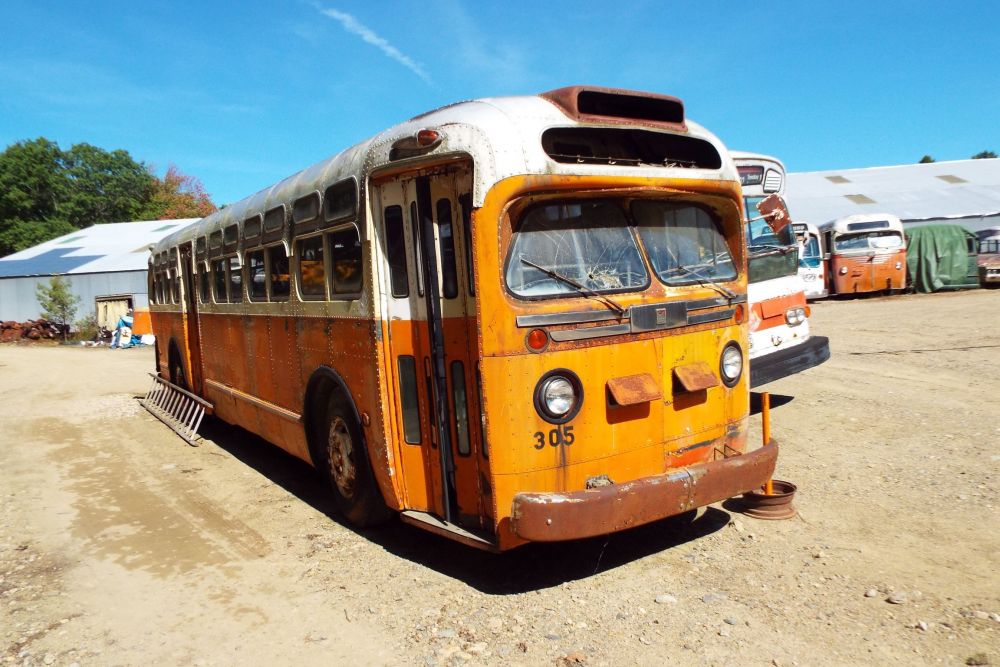 Bus 305